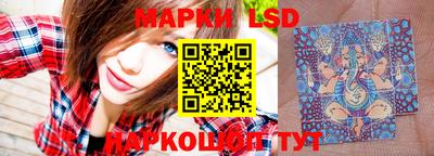 прущие грибы Краснодар