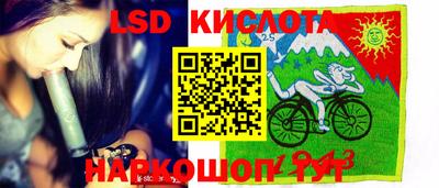 прущие грибы Краснодар