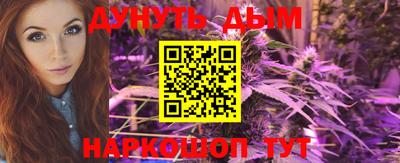 прущие грибы Краснодар