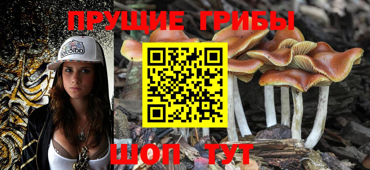 Псилоцибиновые грибы ЛСД Елизово